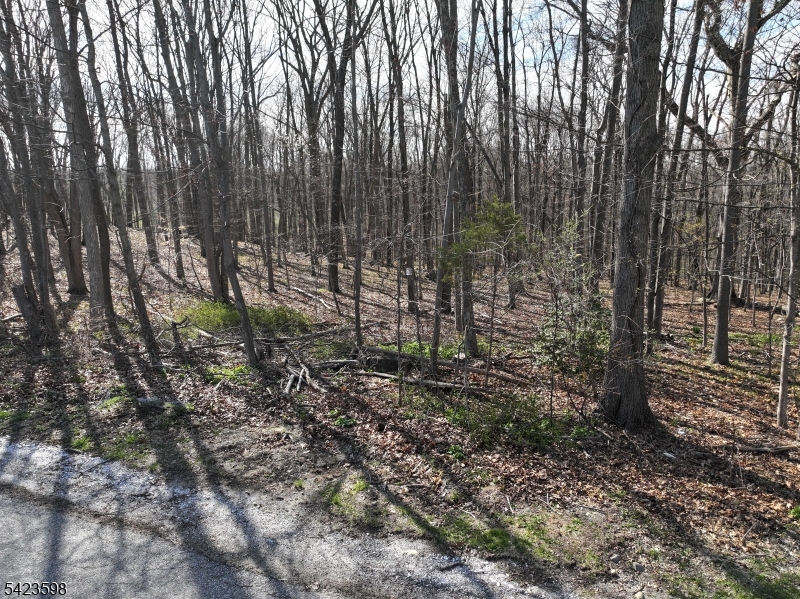47 Snover Road Lafayette, NJ 07848 - Photo 32 of 33 a view of a yard with large trees