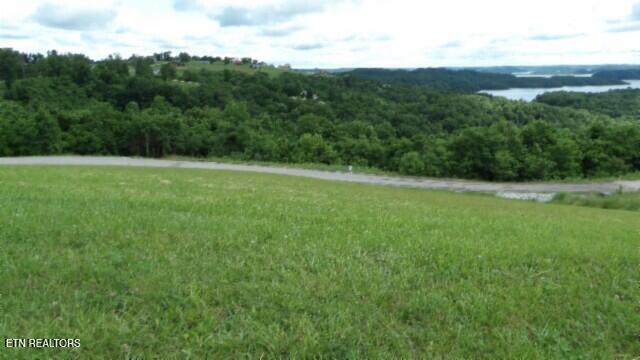 Lot 40 Swan Ridge Road Celina, TN 38551 - Photo 3 of 31 100_0024