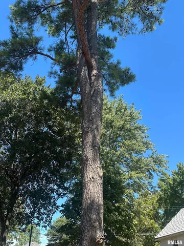 $73,900 | 310 East Almond Street, Percy, IL 62272