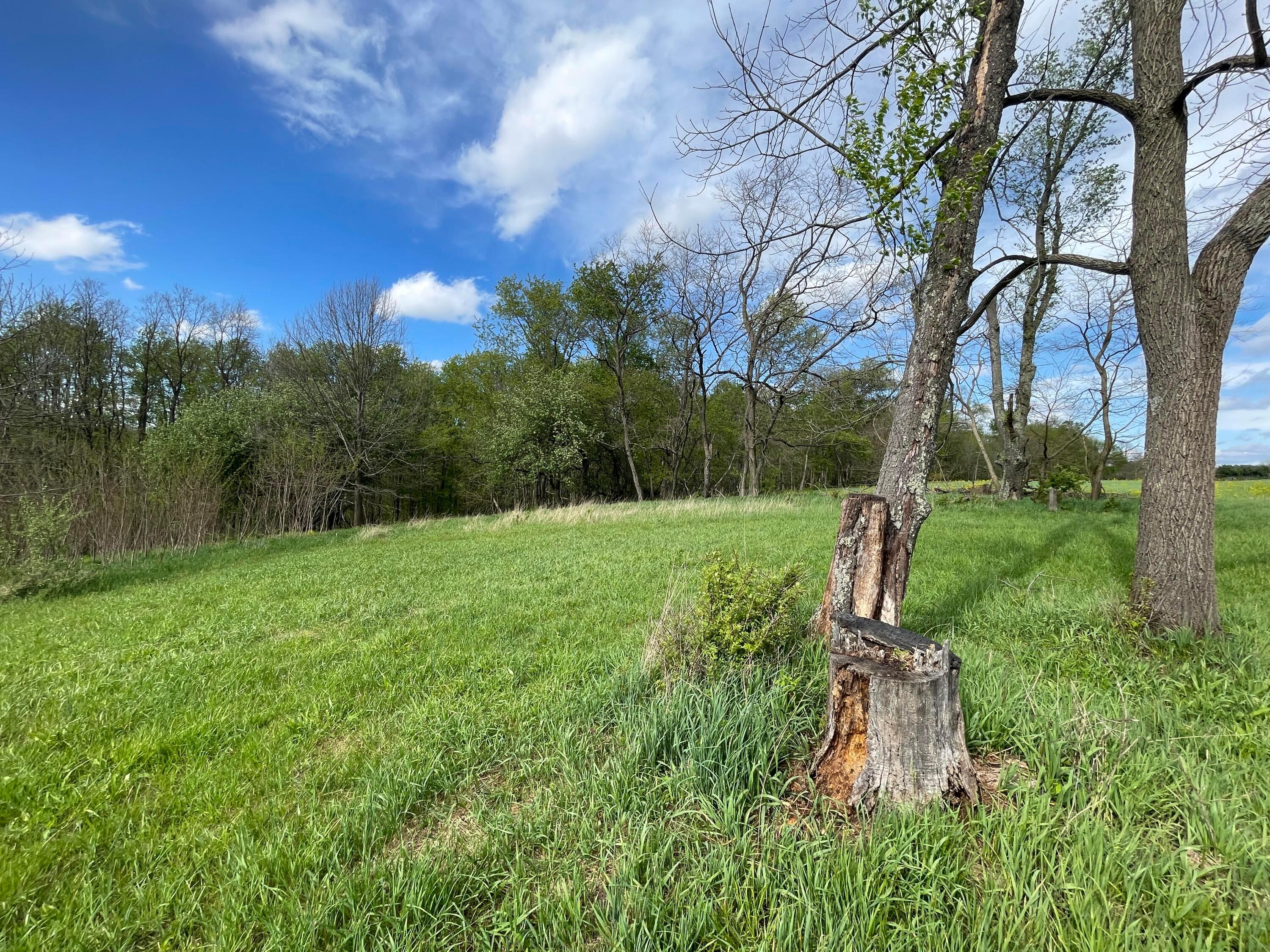 0 Monroe Mills Road Mount Vernon, OH 43050 - Photo 11 of 31 11