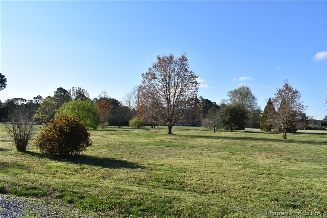 163 Mill Lane Road Cardinal, VA 23025 - Photo 6 of 50 a big yard with lots of green space and trees