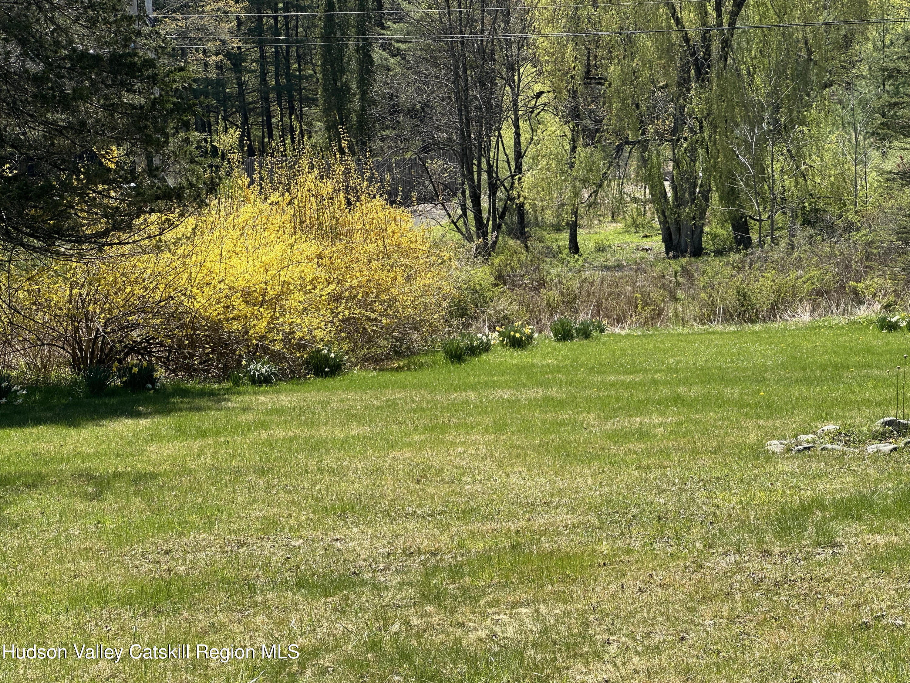 28 Shultis Farm Road Bearsville, NY 12409 - Photo 9 of 36 H12