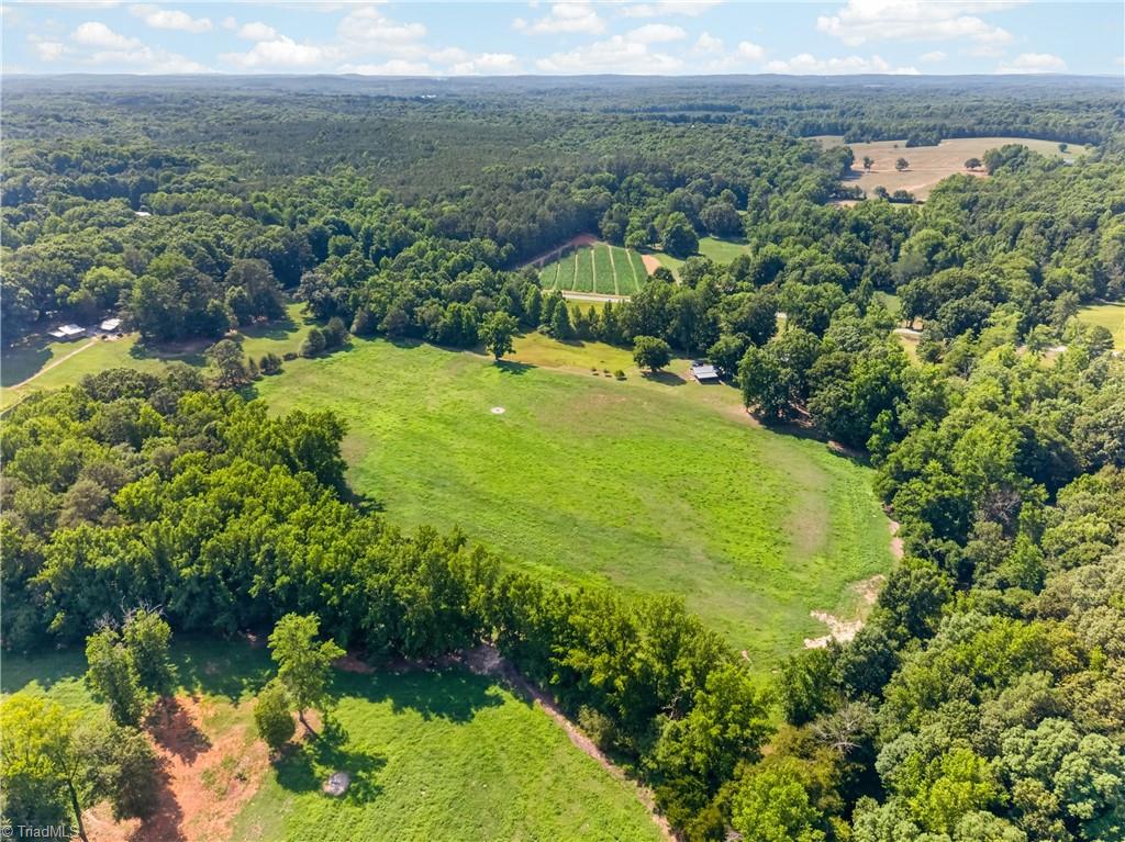1805 West Chrisco Road Seagrove, NC 27341 - Photo 45 of 49