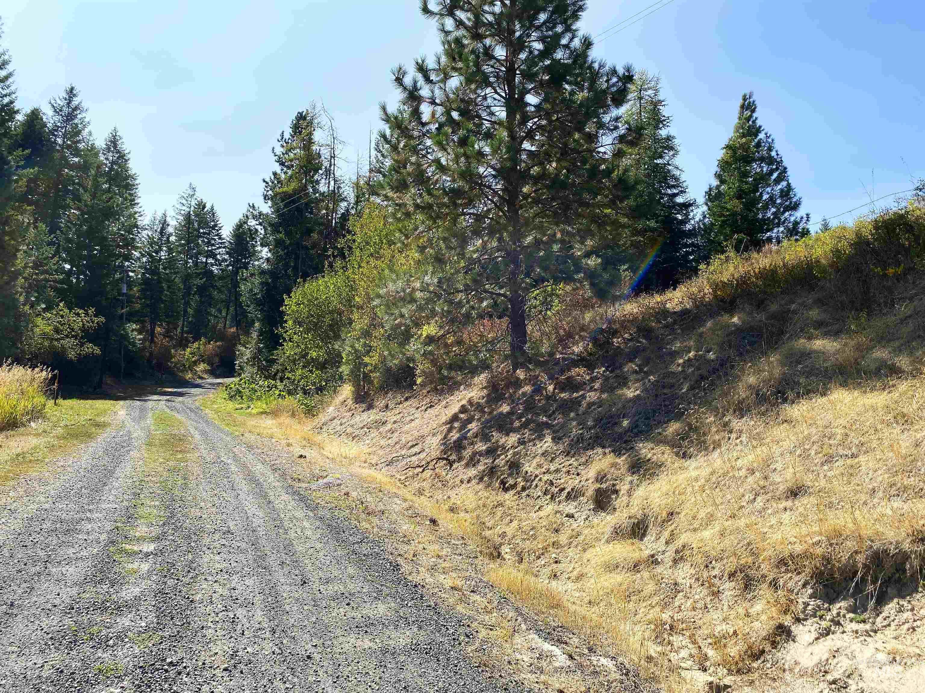 1007 West Hatter Creek Road Princeton, ID 83857 - Photo 2 of 49