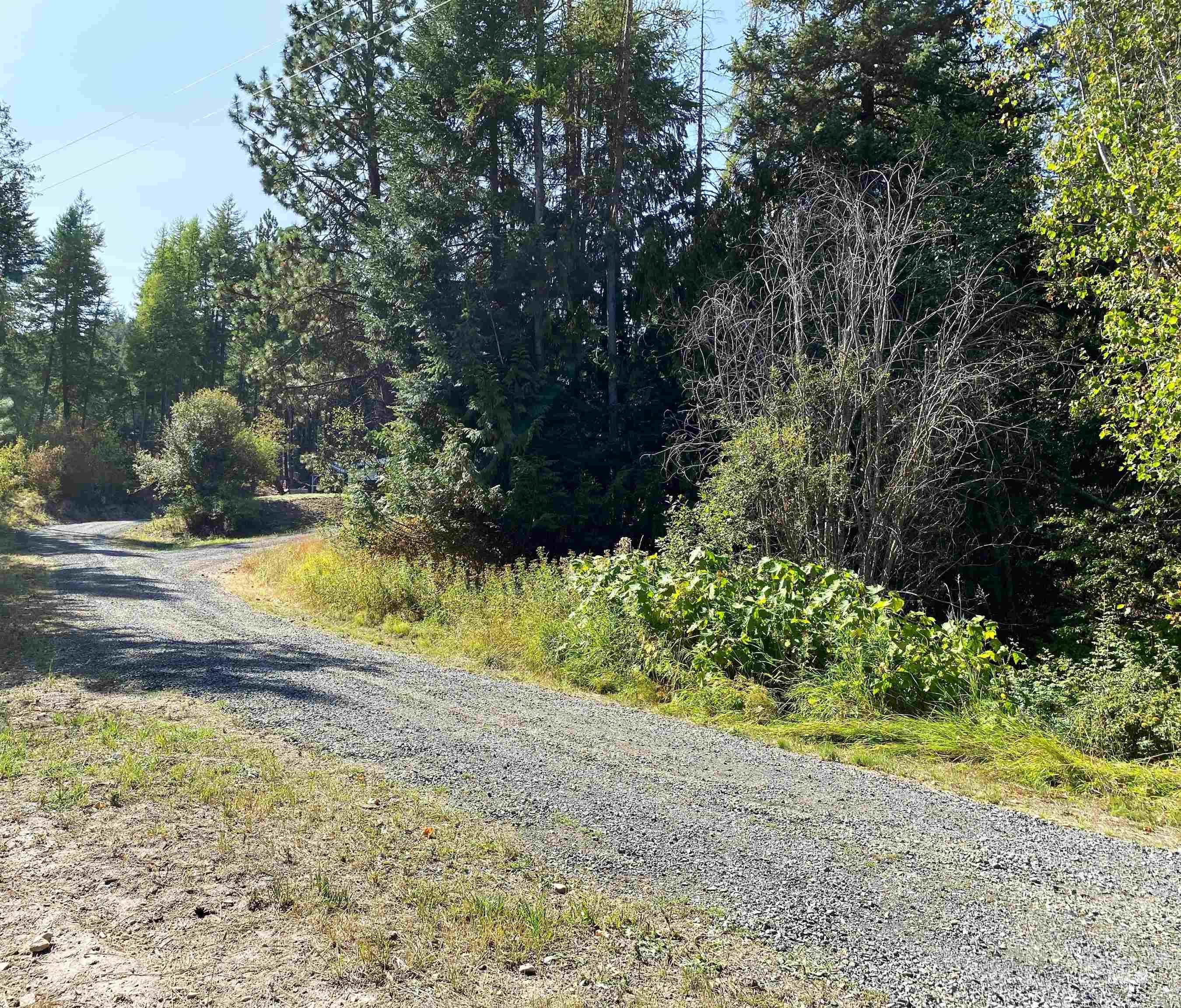1007 West Hatter Creek Road Princeton, ID 83857 - Photo 3 of 49