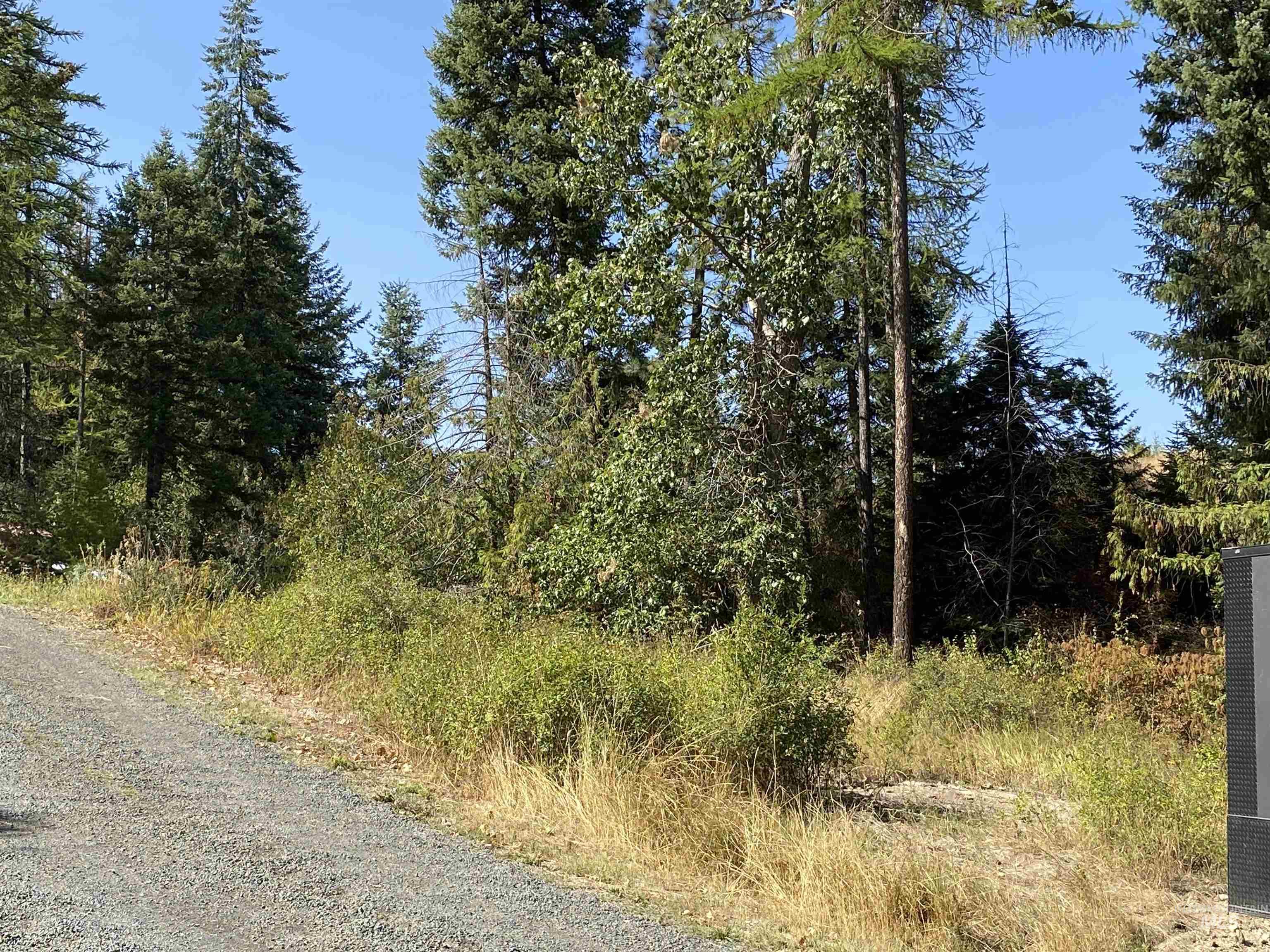 1007 West Hatter Creek Road Princeton, ID 83857 - Photo 32 of 49