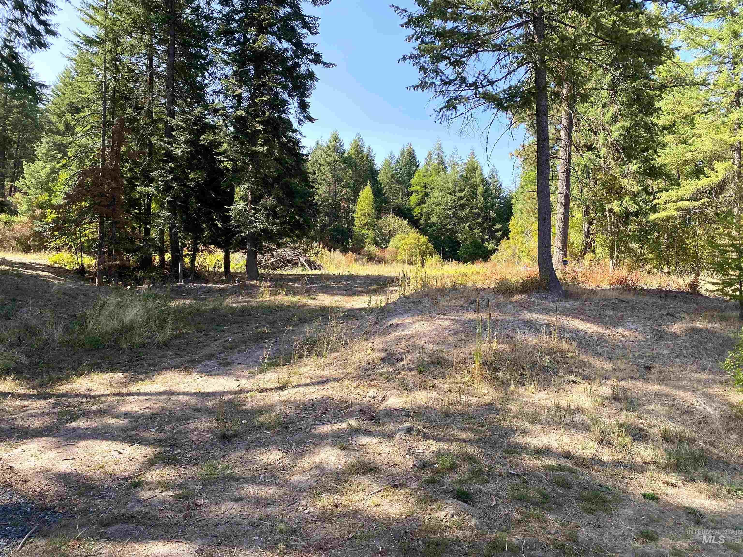 1007 West Hatter Creek Road Princeton, ID 83857 - Photo 40 of 49