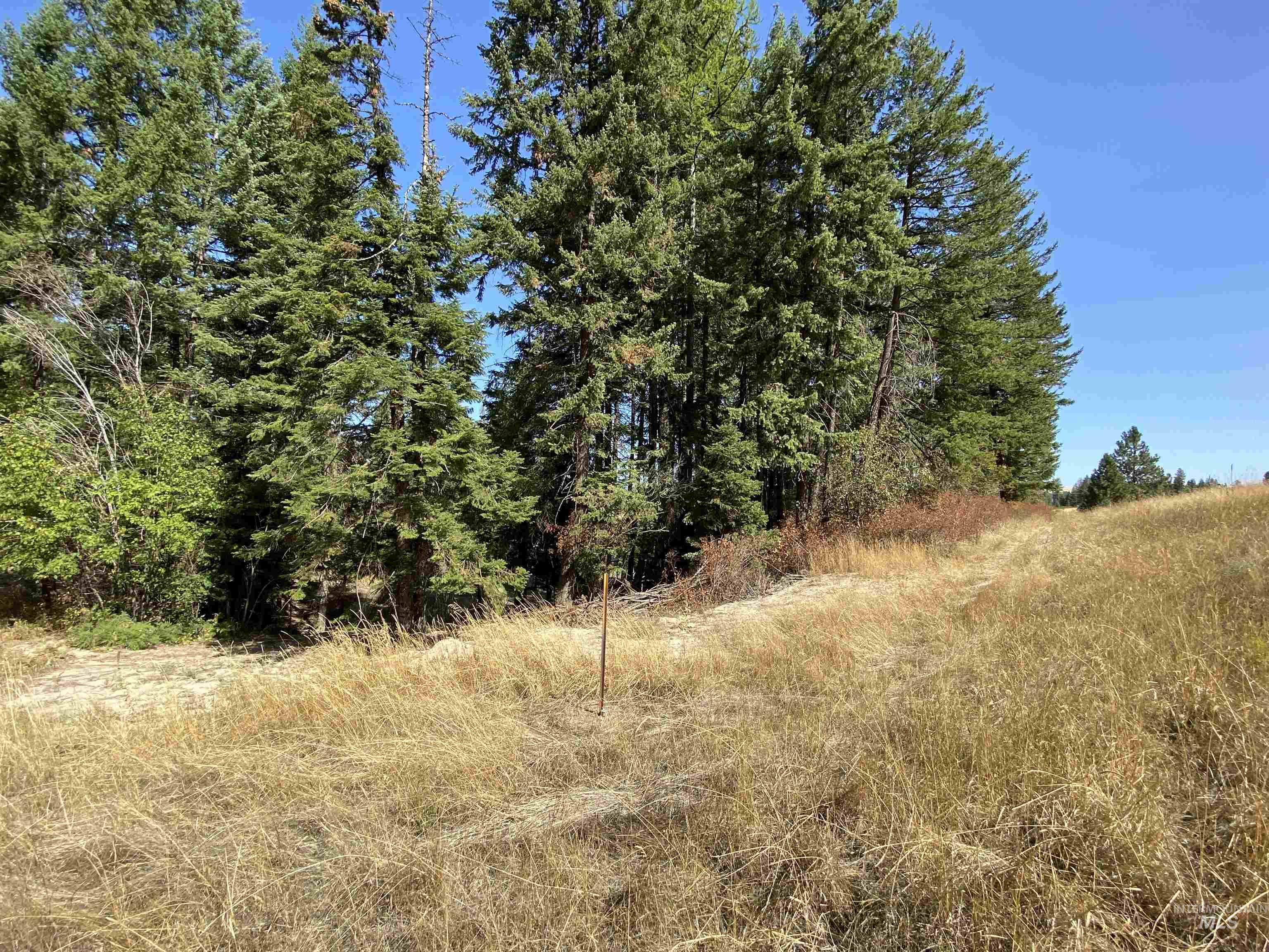 1007 West Hatter Creek Road Princeton, ID 83857 - Photo 43 of 49