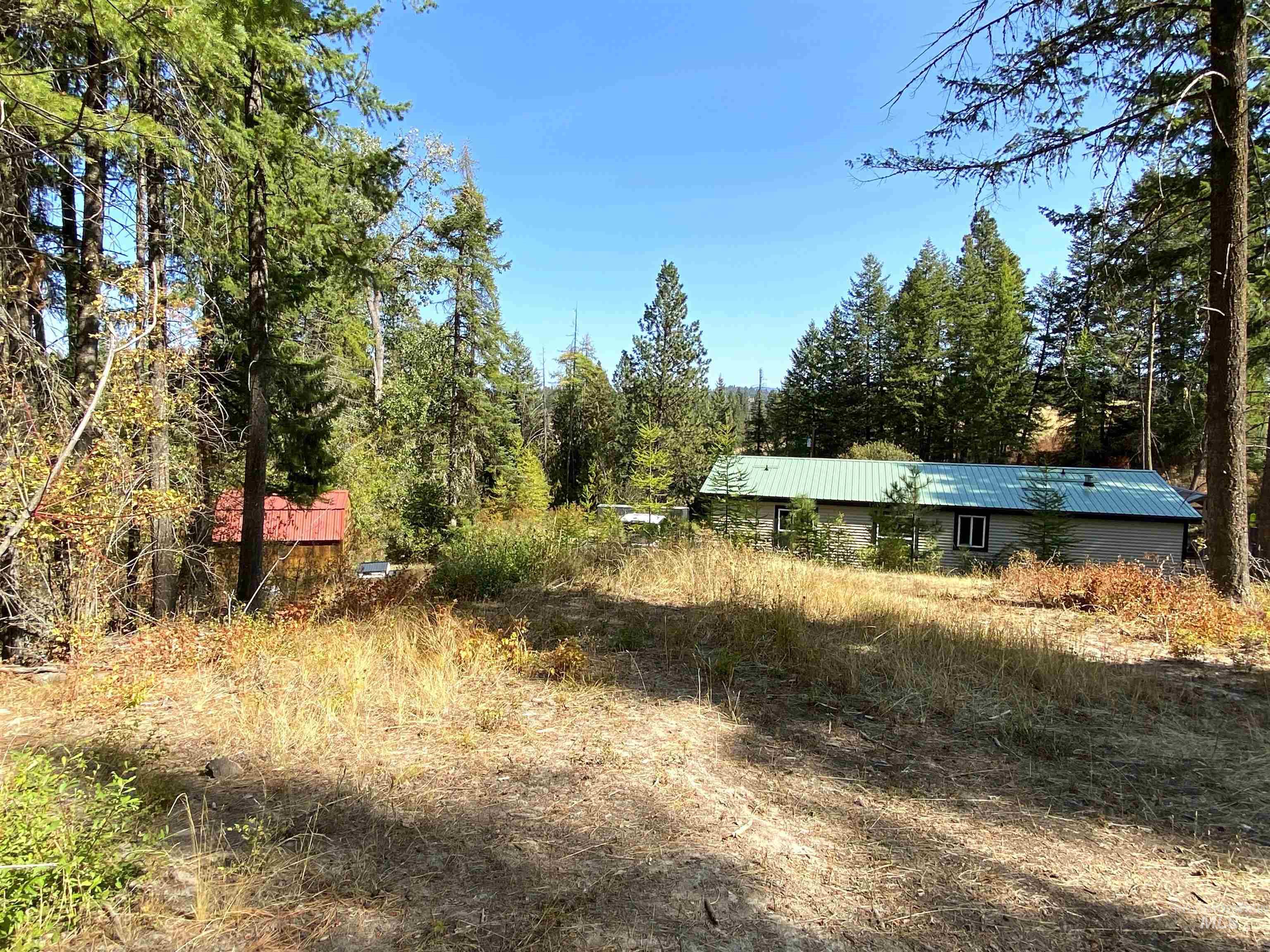 1007 West Hatter Creek Road Princeton, ID 83857 - Photo 44 of 49