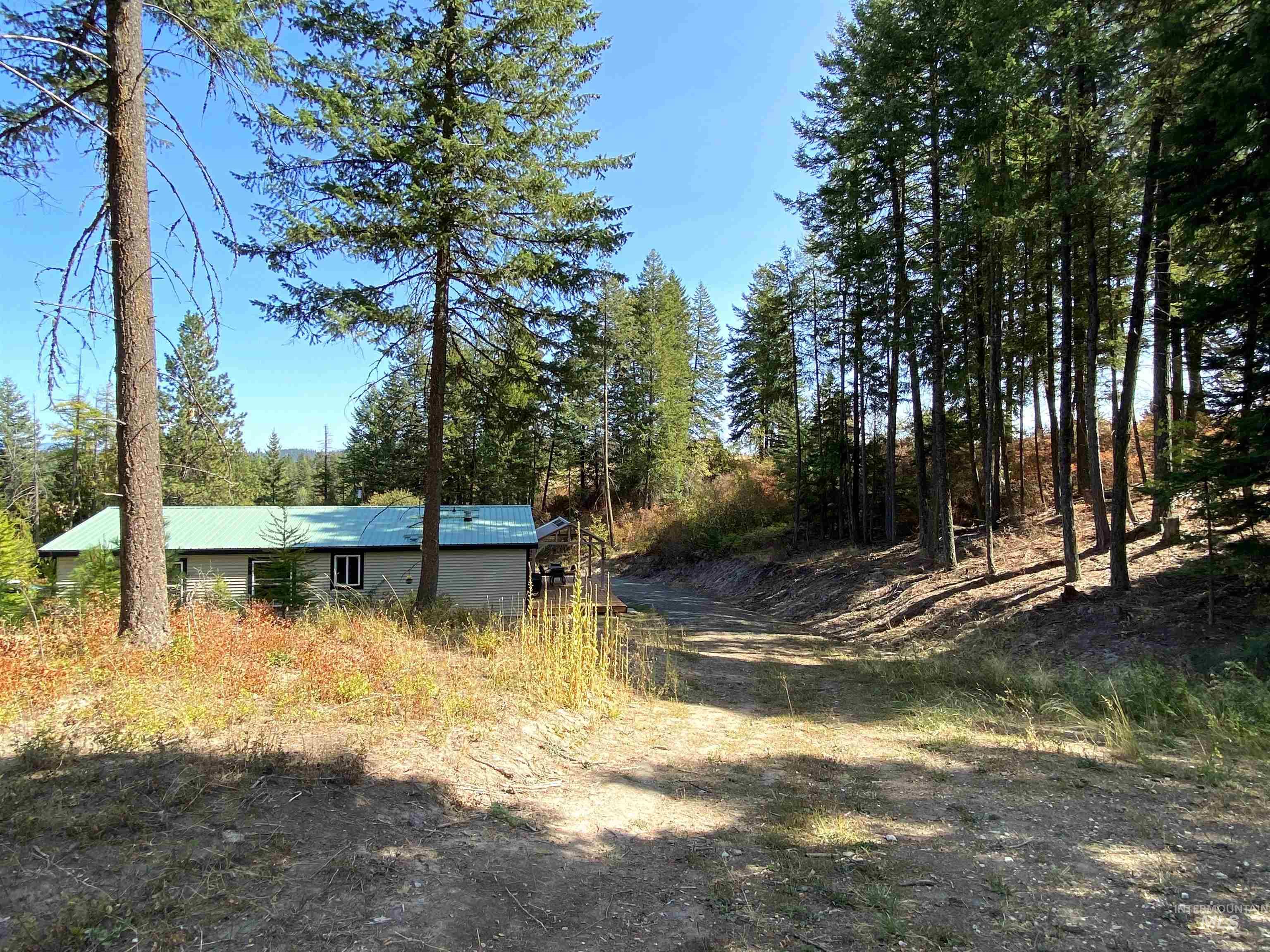 1007 West Hatter Creek Road Princeton, ID 83857 - Photo 46 of 49