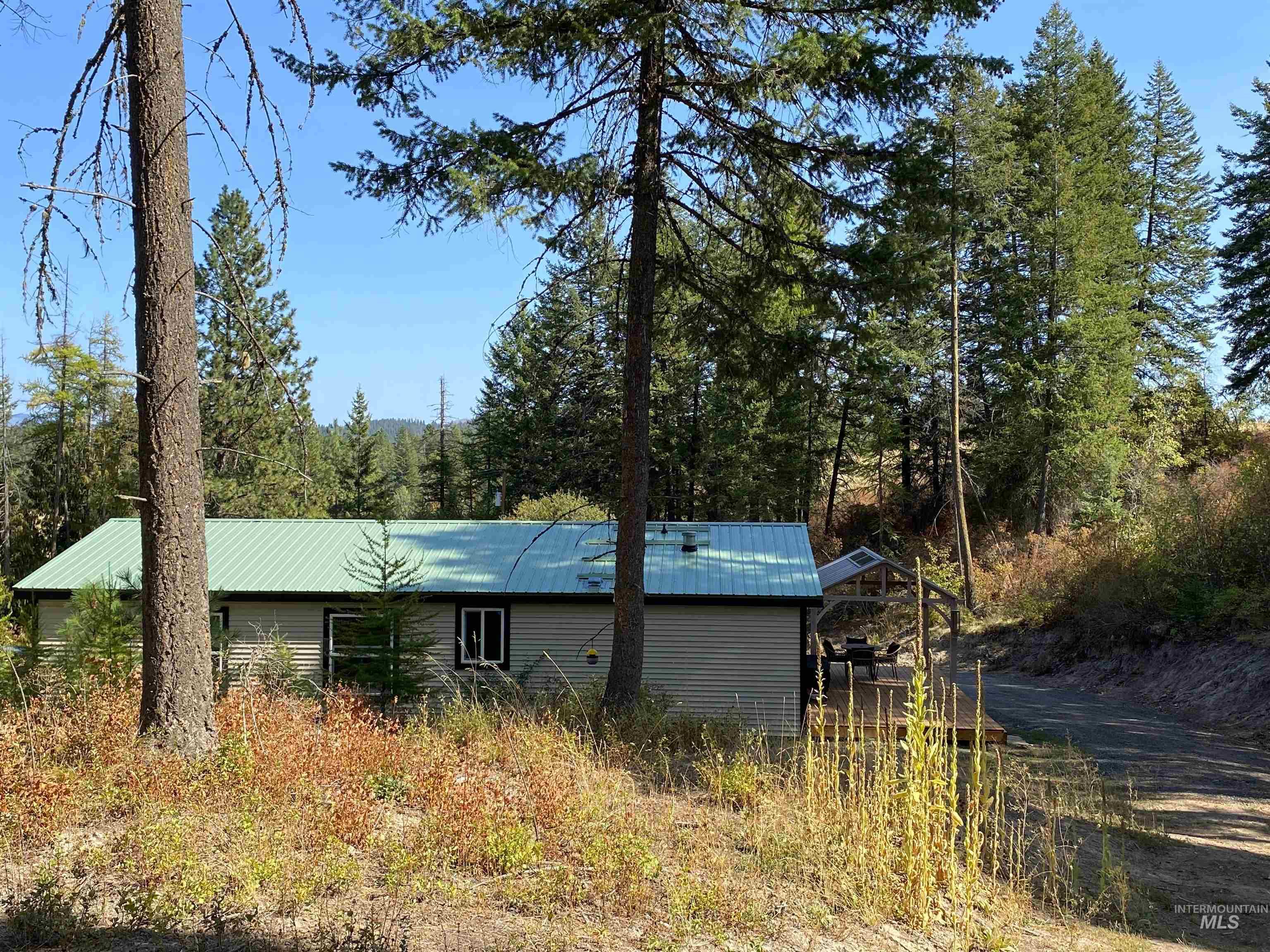 1007 West Hatter Creek Road Princeton, ID 83857 - Photo 47 of 49