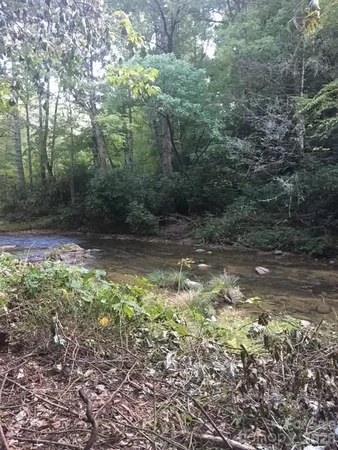 a view of backyard with green space