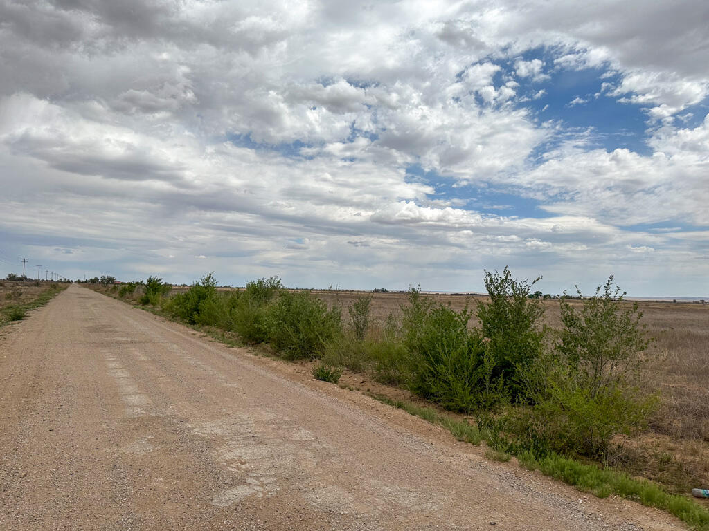 Ice Plant Road McIntosh, NM 87032 - Photo 12 of 24 Gallery Image 12
