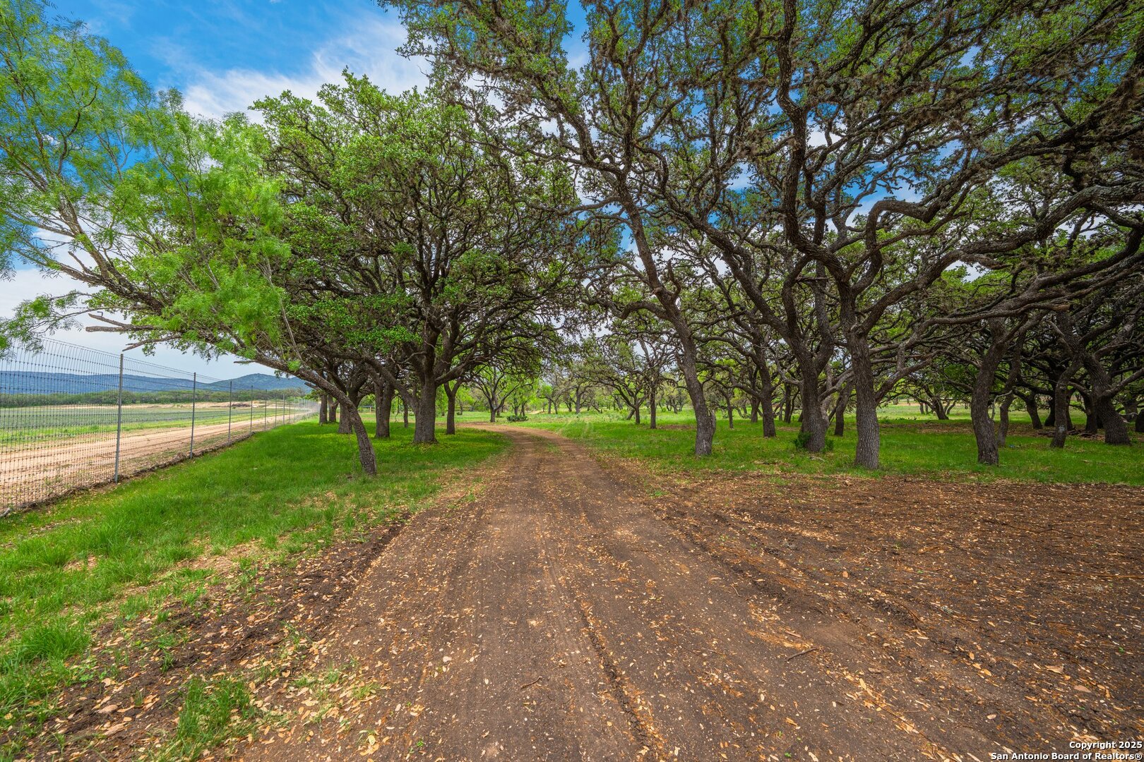 1065 B & R Utopia, TX 78884 - Photo 11 of 28 a view of a yard with tree s