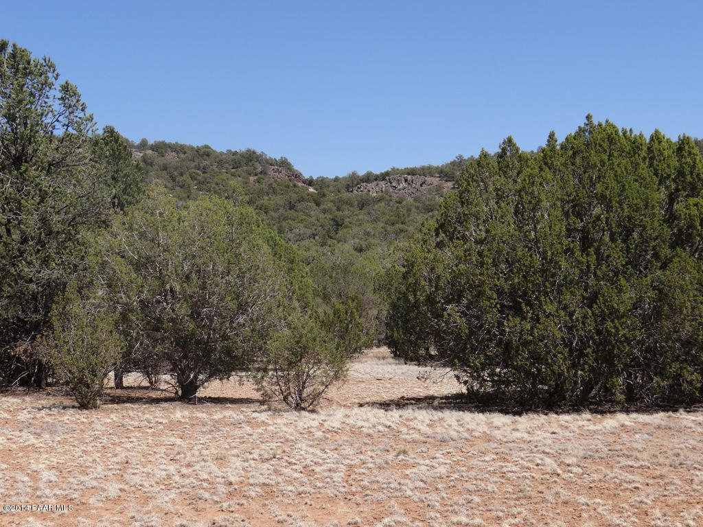 3 Shadow Rock Ranch Seligman, AZ 86337 - Photo 4 of 10 ^DSC03428