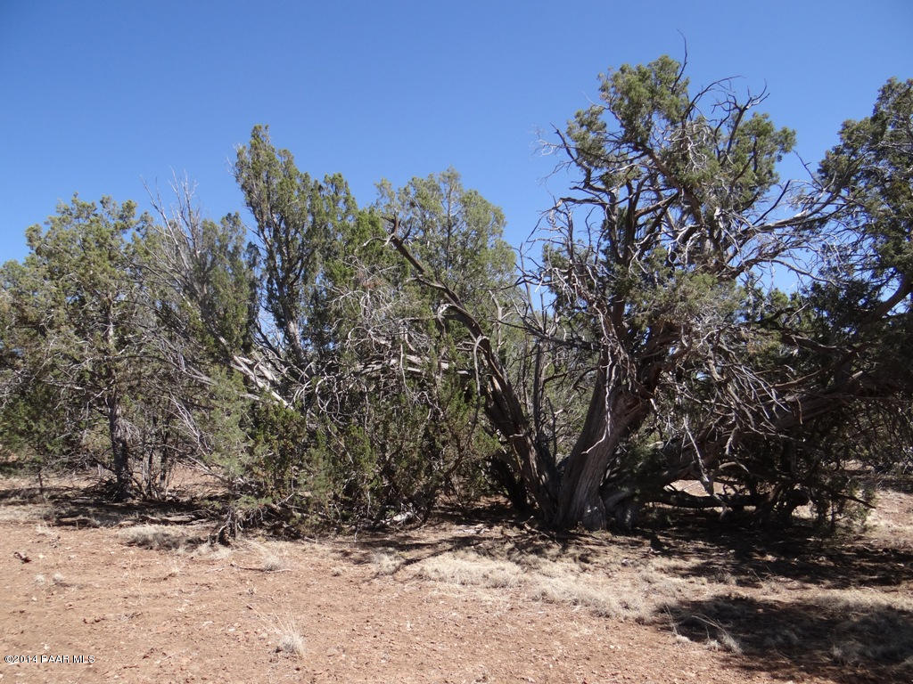 3 Shadow Rock Ranch Seligman, AZ 86337 - Photo 8 of 10 ^DSC03432