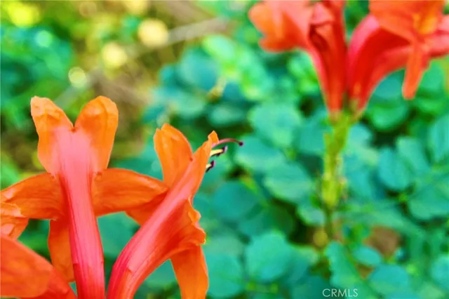 $708,750 | 79927 Viento Drive, La Quinta, CA 92253