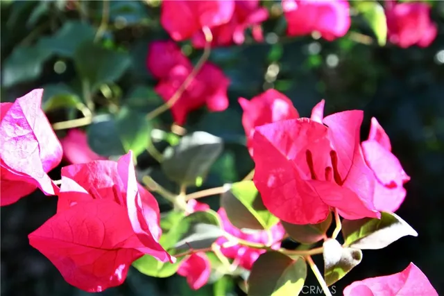 $708,750 | 79927 Viento Drive, La Quinta, CA 92253