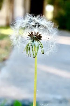 $635,000 | 79927 Viento Drive, La Quinta, CA 92253