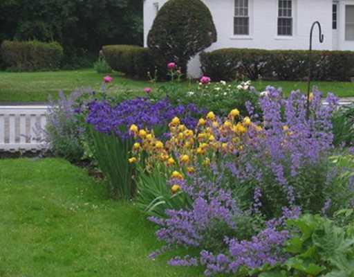 68 High Street Saco, ME 04072 - Photo 20 of 25 Yard/Garden.