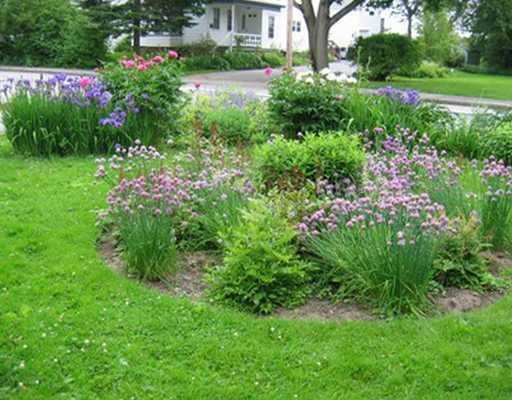 68 High Street Saco, ME 04072 - Photo 23 of 25 Yard/Garden.