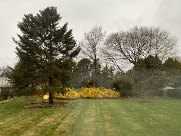 45 Winter Park Road Framingham, MA 01702 - Photo 17 of 18 Gallery Image 17