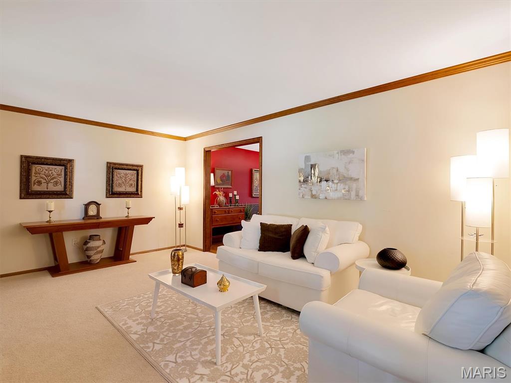 101 Strecker Road Ellisville, MO 63011 - Photo 5 of 42