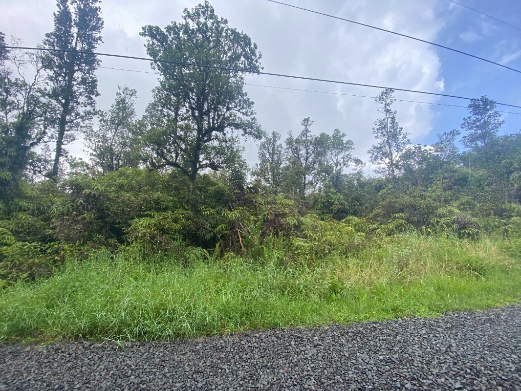 3053 Hopue Road Mountain View, HI 96771 - Photo 3 of 7 Gallery Image 3