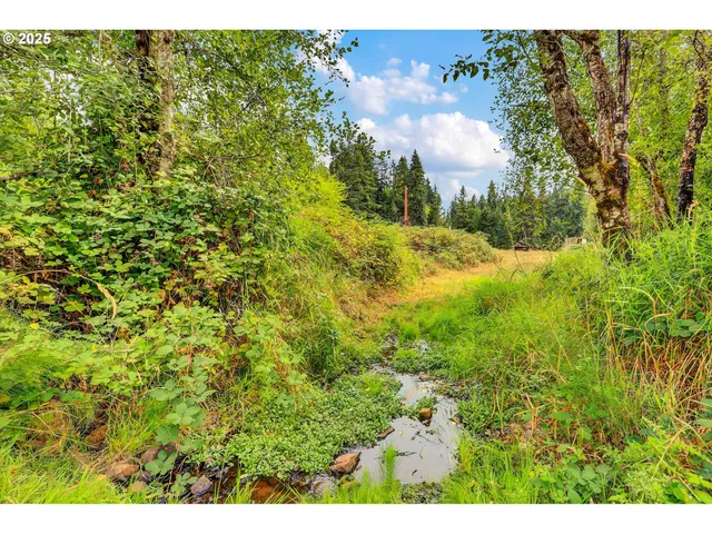 $1,300,000 | Undisclosed Address, Scotts Mills, OR 97375