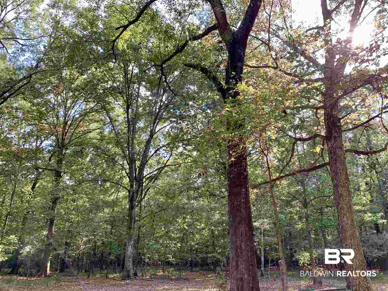 0 Holly Creek Road Stockton, AL 36579 - Photo 26 of 50