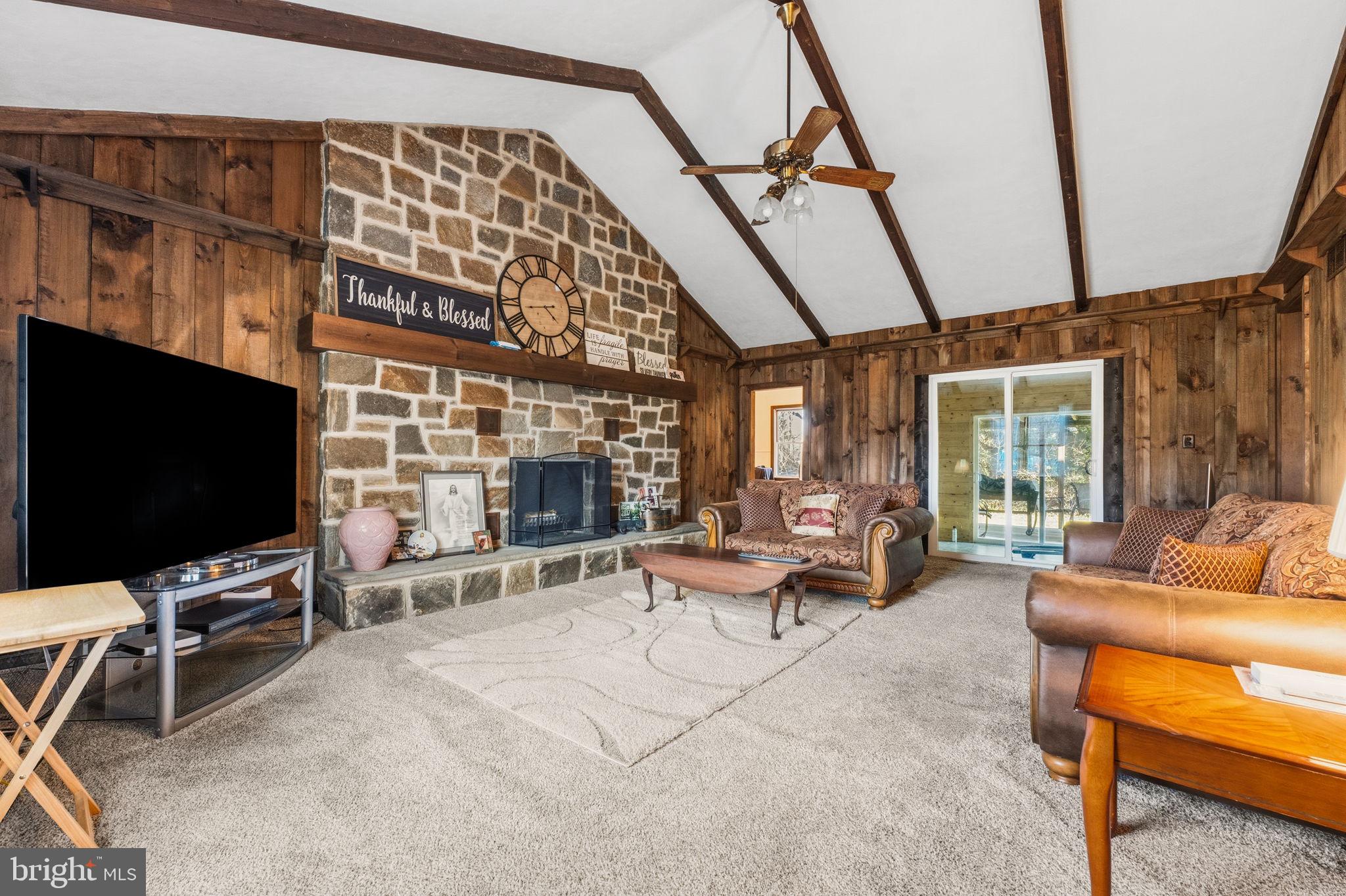 368 Appleton Road Elkton, MD 21921 - Photo 20 of 64 a living room with furniture a flat screen tv and a fireplace