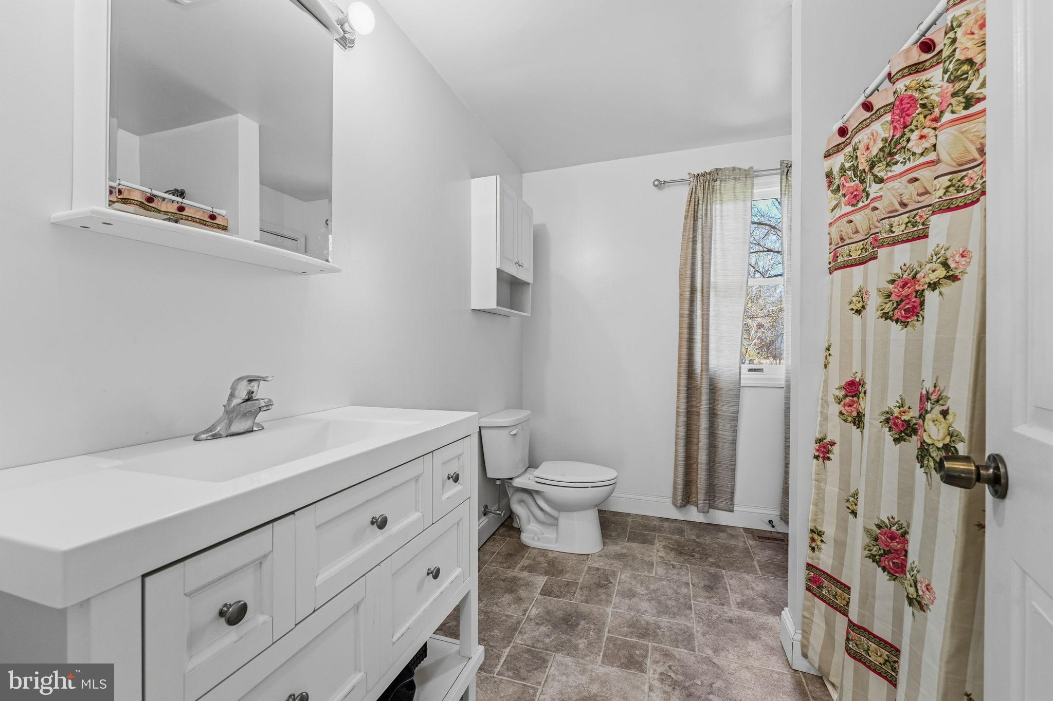 368 Appleton Road Elkton, MD 21921 - Photo 33 of 64 a bathroom with a sink toilet and shower