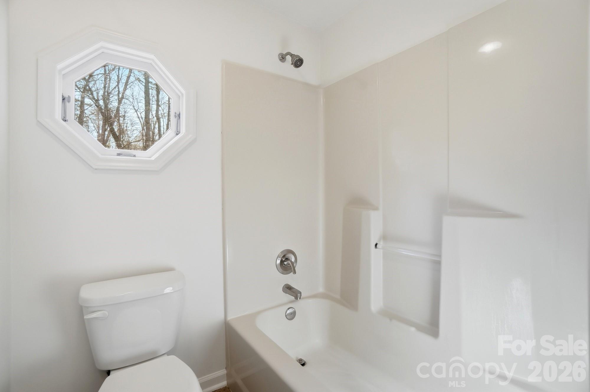 4437 Lake Shore Road North Denver, NC 28037 - Photo 31 of 43 a bathroom with a toilet a sink and mirror