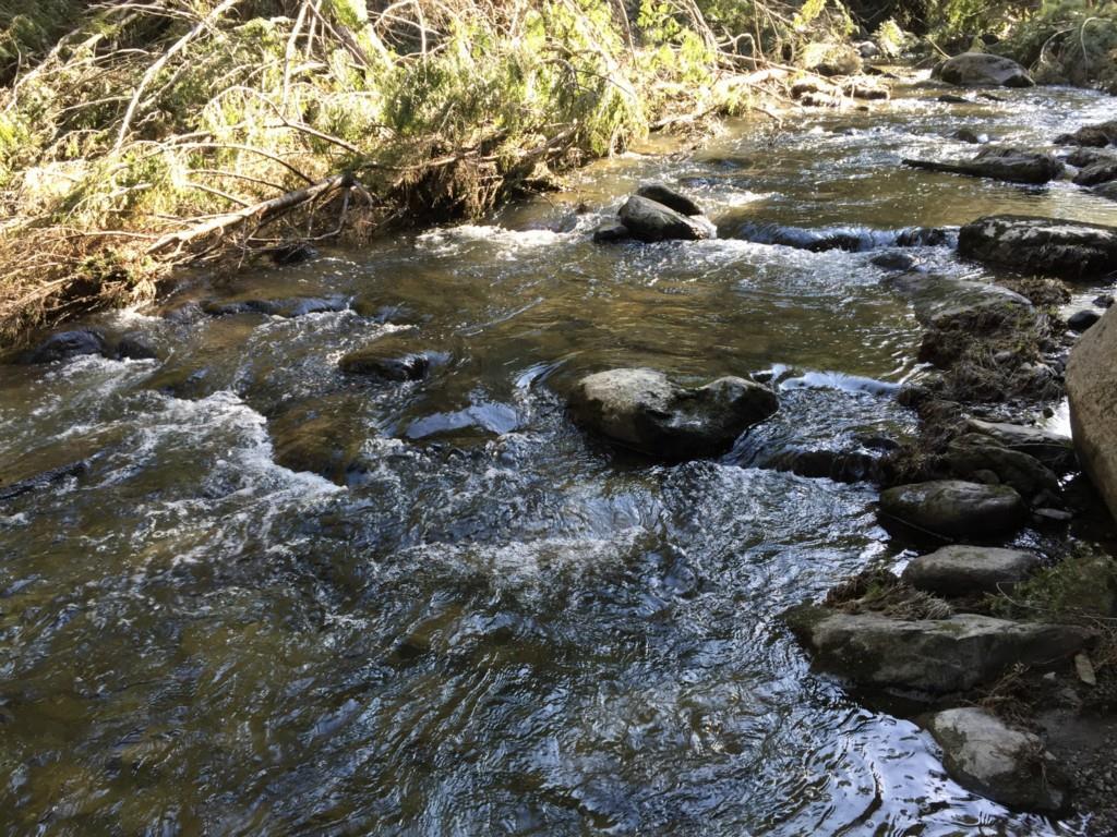 9 Moyse Road Winterport, ME 04496 - Photo 32 of 35 Photo