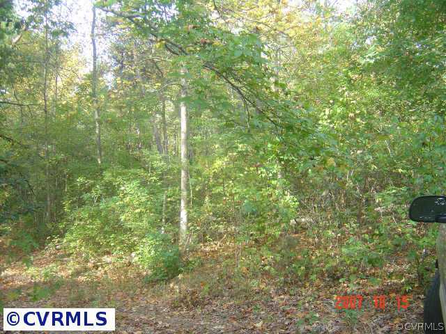 1 Cooks Mill Road Lanexa, VA 23089 - Photo 1 of 2 Exterior Front - FRONT VIEW