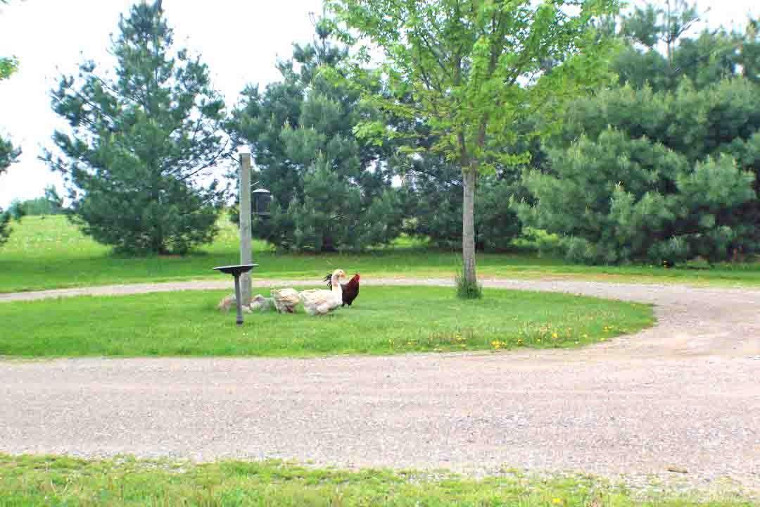 8577 Peck Road Marlette, MI 48453 - Photo 26 of 27