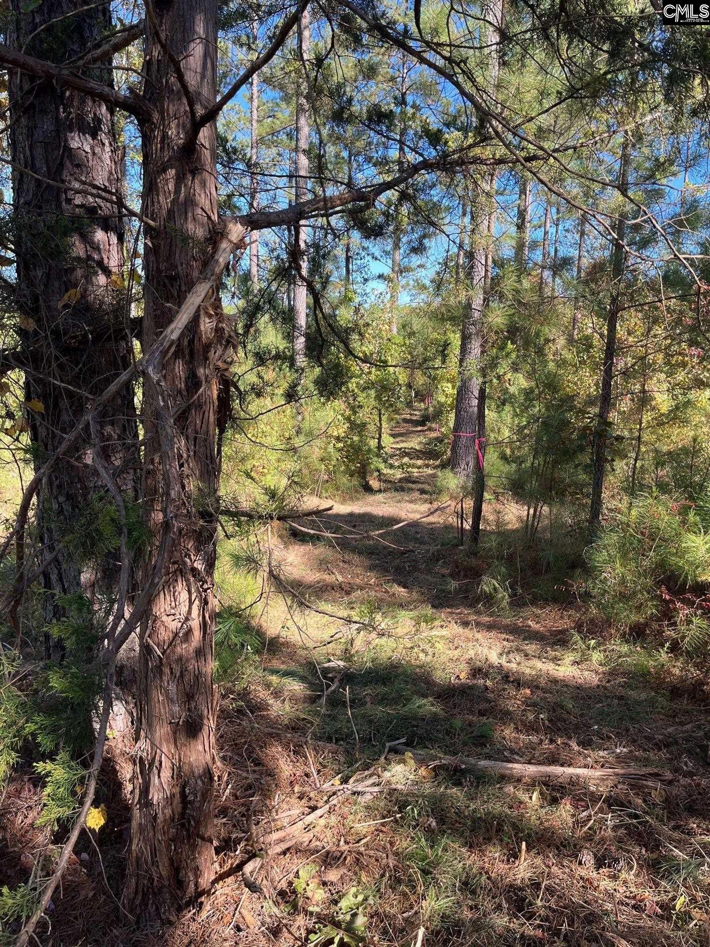 3 Dawkins Road, Unit DRF 3 Whitmire, SC 29178 - Photo 14 of 38