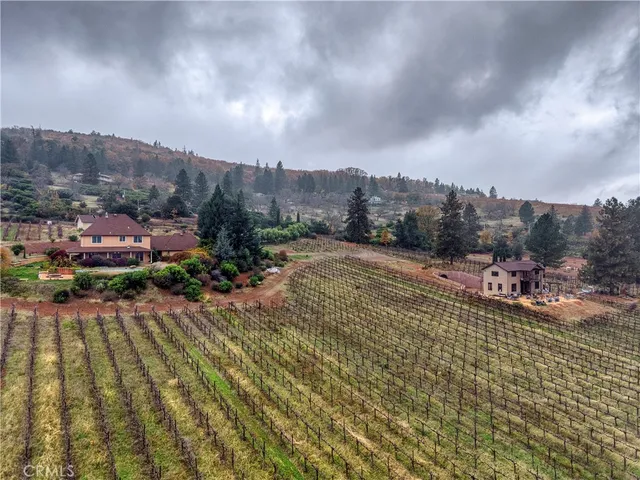 an aerial view of a house with garden space and street view