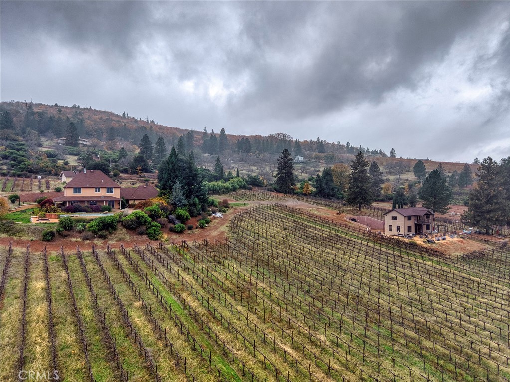 8664 Seigler Springs Road Kelseyville, CA 95451 - Photo 44 of 75 7 acres of vineyard