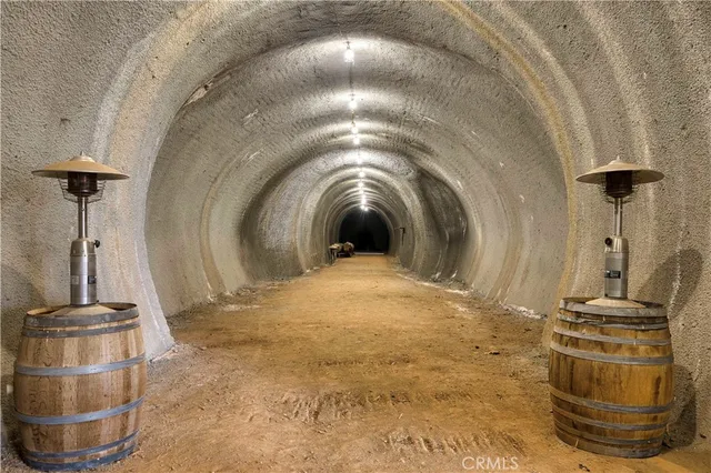 front view of house with a yard and trees in the background