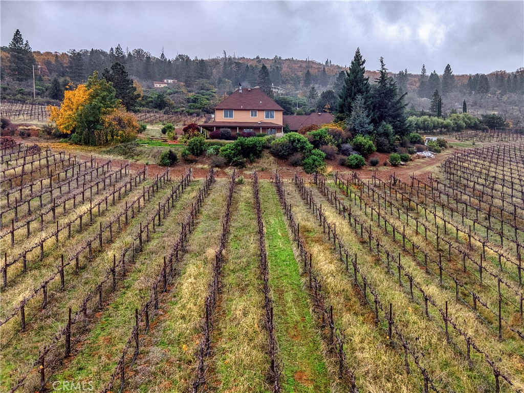 8664 Seigler Springs Road Kelseyville, CA 95451 - Photo 49 of 75 Vineyard view from back of main residence