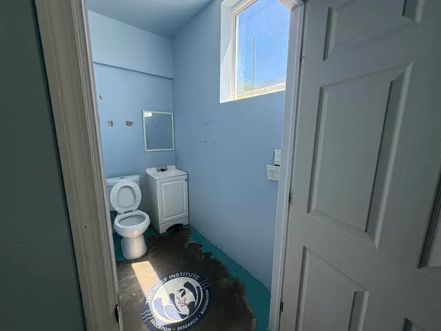 a bathroom with a toilet and a sink