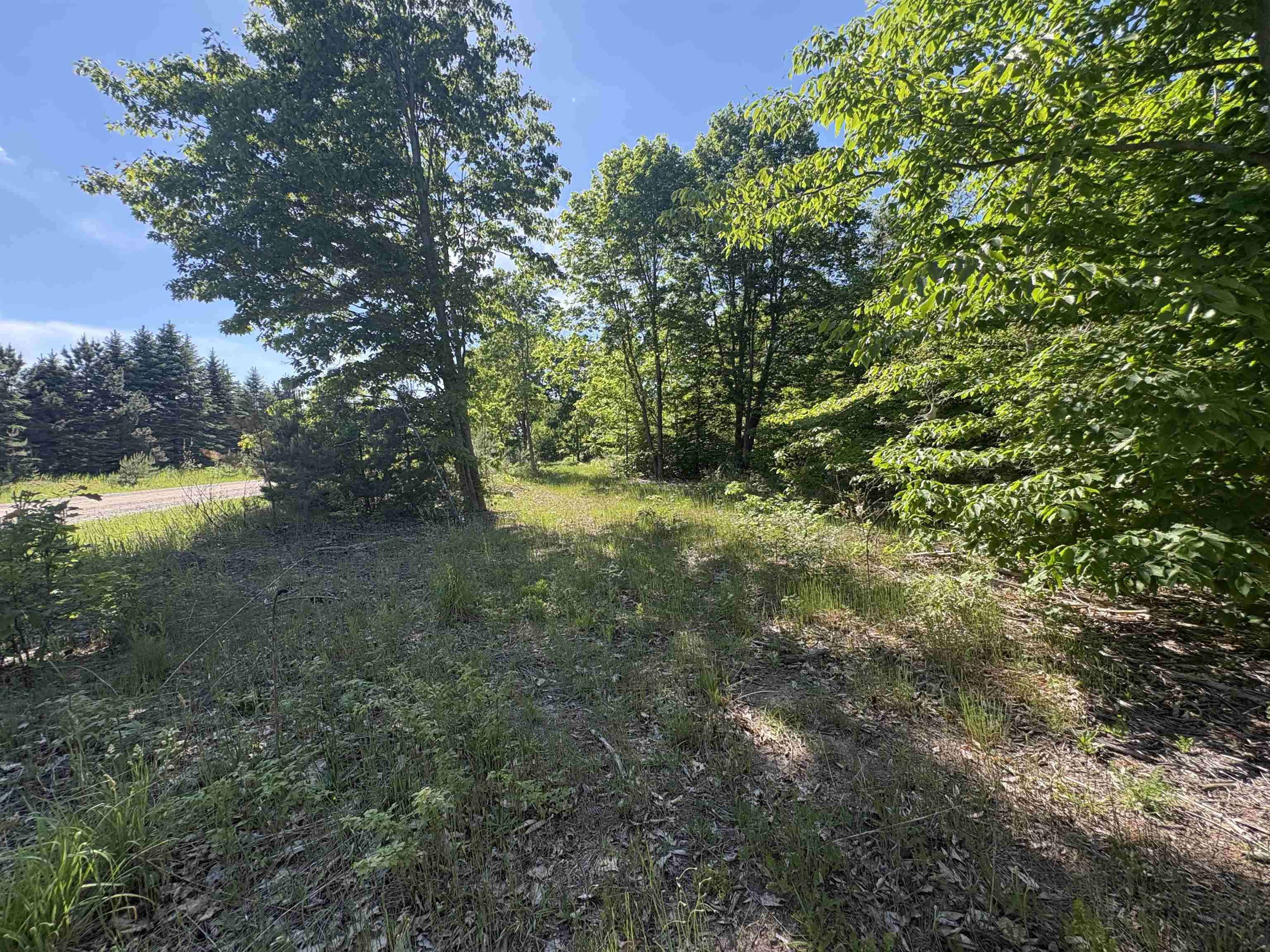 Parcel E St Johns Road Interlochen, MI 49643 - Photo 5 of 11