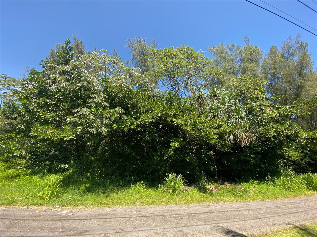 27 Oo Road Keaau, HI 96749 - Photo 4 of 18 Gallery Image 4