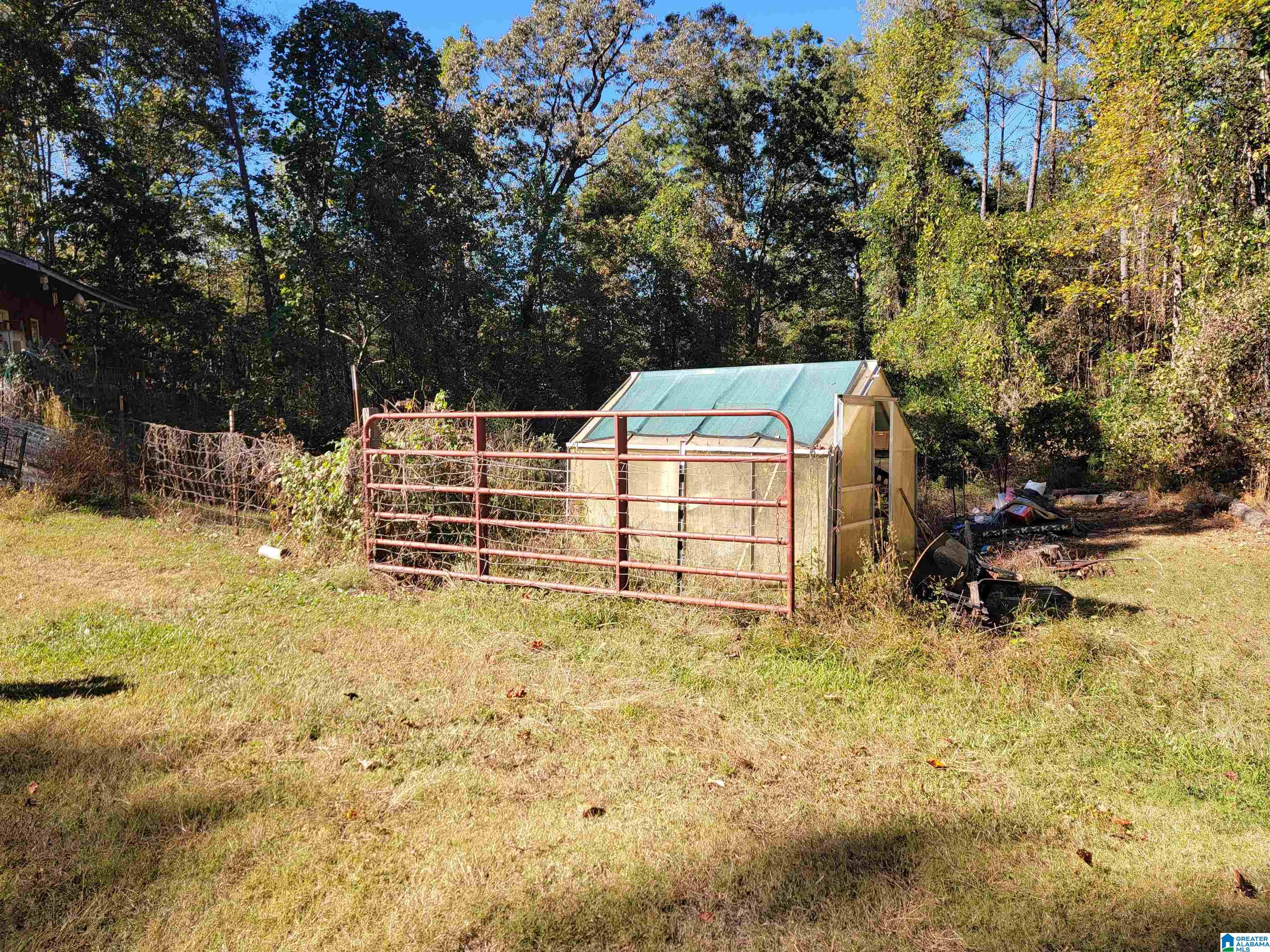 3156 Louina Road Roanoke, AL 36274 - Photo 30 of 37