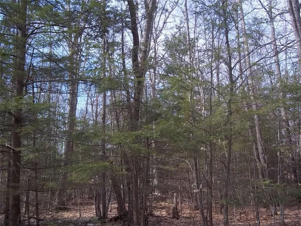 87 West Acre Road Wayne, ME 04284 - Photo 3 of 7 Photo