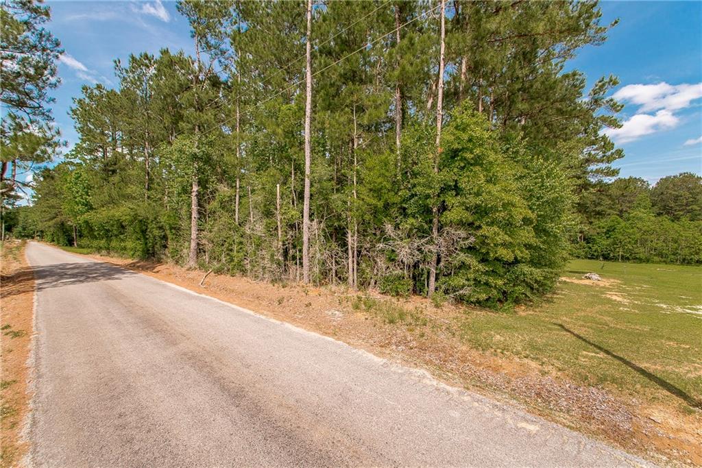 Lot South Mansfield Road Folsom, LA 70437 - Photo 3 of 4 Gallery Image 3