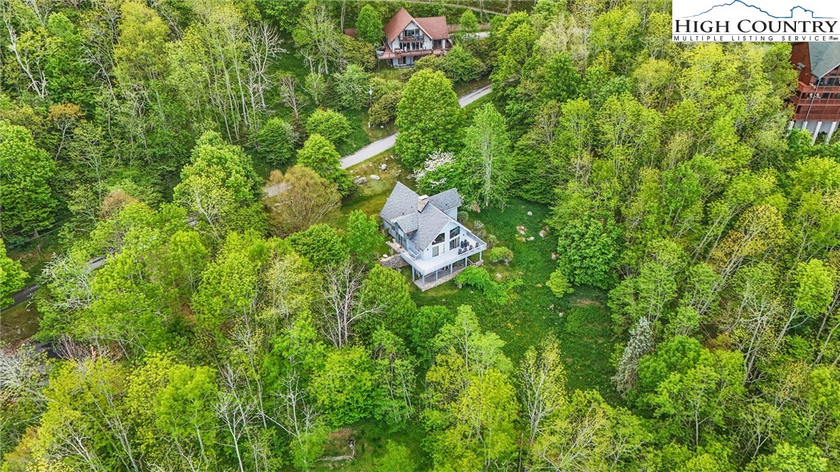 178 Buckeye Lane Seven Devils, NC 28604 - Photo 8 of 9 a view of a lush green forest