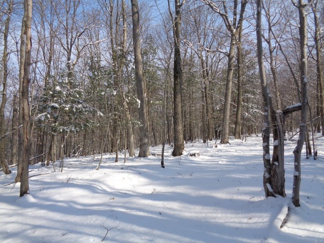 5151 Landis Road Hartsville, NY 14843 - Photo 14 of 16