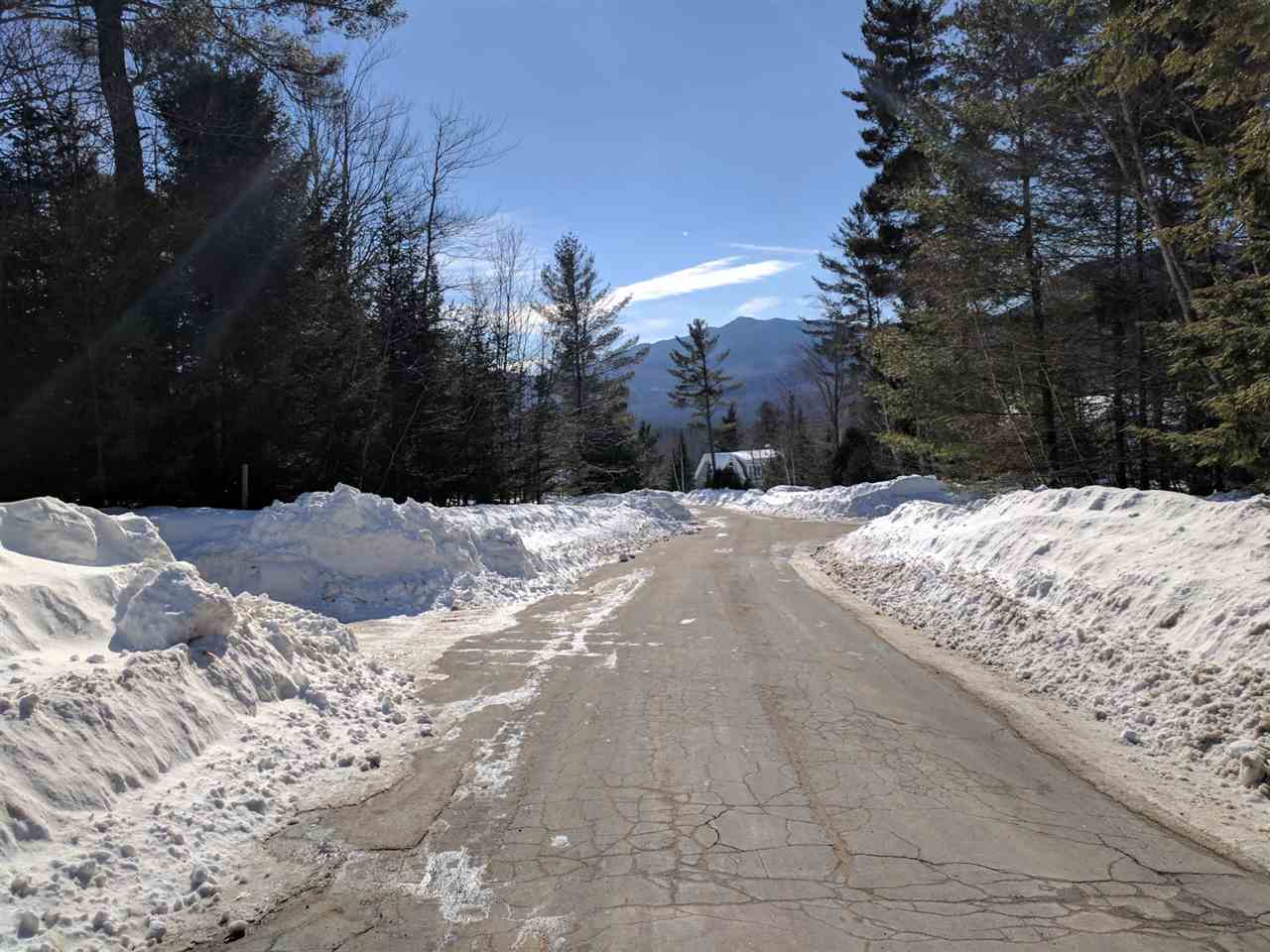 168 Stanton Farm Road Bartlett, NH 03812 - Photo 3 of 13